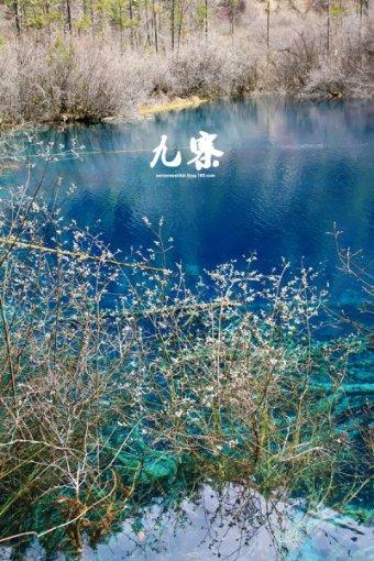 探索更多问题答案,尽在耳鸣一天比一天响?